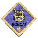 Bobcat - First Rank