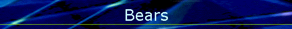 Bears